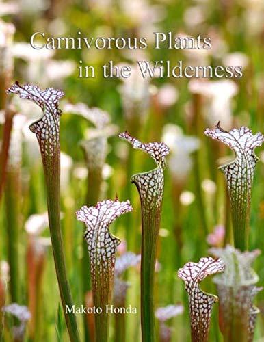 Carnivorous Plants in the Wilderness